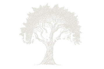villa-aroeira-guaiu-bahia-logo